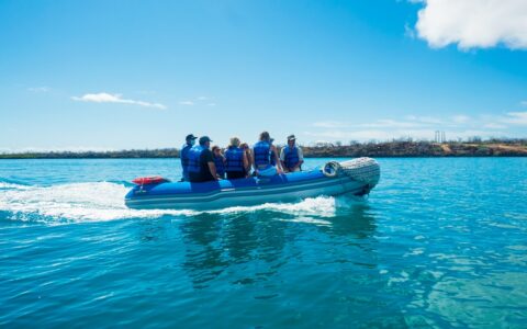 Galapagos travelers ride in a panga small boat under sunny skies en route to a shore excursion on an Ocean Spray cruise.