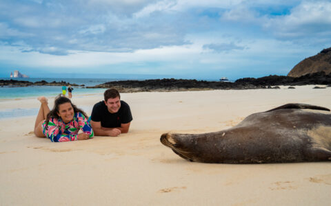 Ocean Spray Galapagos cruise guests lay on white-sand beach near a sea lion lounging on its back on a sunny day.