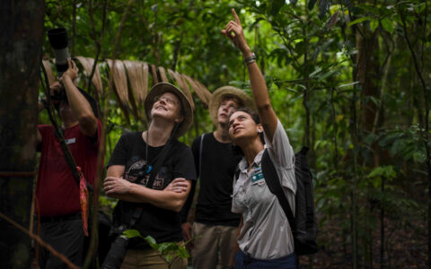 Guests on an expedition hike through the jungle of Smithsonian Tropical Research Institute, Barro Colorado, Panama, as guide points.