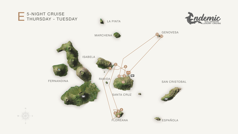 Route map of Endemic 6-day North itinerary E, operating round-trip from Baltra with visits to the islands of Bartolome, Floreana, Santiago, Santa Cruz and Genovesa.