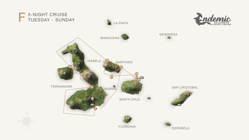Route map of Endemic 6-day West itinerary F, operating round-trip from Baltra with visits to the islands of Santiago, Isabela, Fernandina, Rabida and Mosquera Islet.