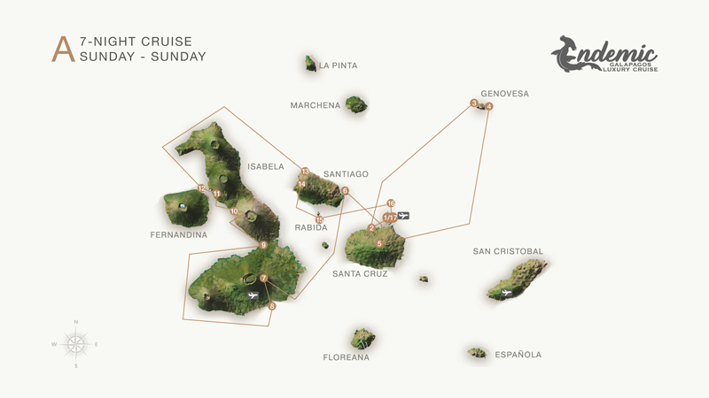 Route map of Endemic 8-day West itinerary A, operating round-trip from Baltra with visits to the islands of Santa Cruz, Genovesa, Santiago, Isabela, Fernandina, Rabida and Mosquera Islet.