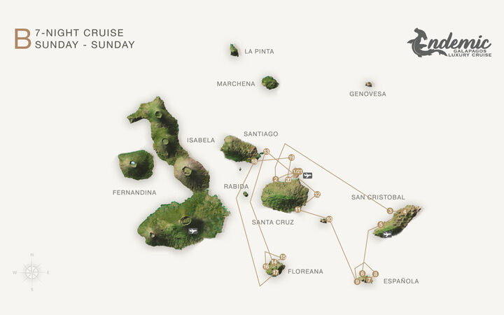 Route map of Endemic 8-day South itinerary B, operating round-trip from Baltra with visits to the islands of Santa Cruz, San Cristobal, Espanola, Santa Fe, South Plaza, Bartolome, Floreana, Chinese Hat, Santiago and North Seymour.