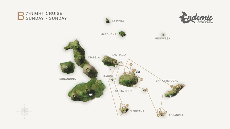 Route map of Endemic 8-day South itinerary B, operating round-trip from Baltra with visits to the islands of Santa Cruz, San Cristobal, Espanola, Santa Fe, South Plaza, Bartolome, Floreana, Chinese Hat, Santiago and North Seymour.