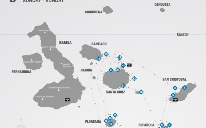 Route map of Endemic 8-day South itinerary B, operating round-trip from Baltra with visits to the islands of Santa Cruz, San Cristobal, Espanola, Santa Fe, South Plaza, Bartolome, Floreana, Chinese Hat, Santiago and North Seymour.