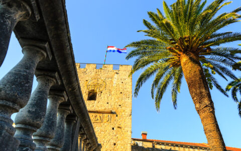 Large palm tree sends green fronds in all directions beside beige castle walls with a red, white & blue Croatia flag flying.
