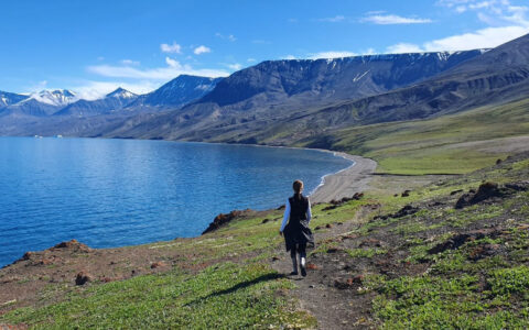 Woman walks a singletrack trail among green tundra while hiking along a secluded bay on a sunny day in West Greenland.