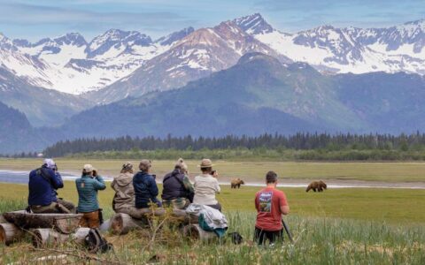 Travelers in a grassy field overlooking snowy mountains and watching and photographing bears from a far.