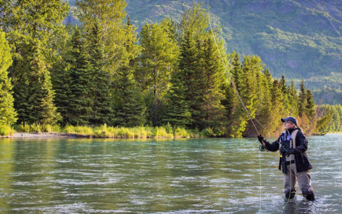 Alaska Wildland Collection photo 3