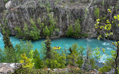 Alaska Wildland Collection will take rafting magical places in the Kenai National Park along the Kenai River with three lodges