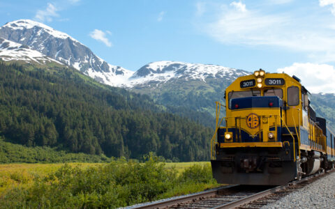 Dark blue & gold Alaska Railroad engine & cars moves through verdant green field by snowcapped peaks on an Alaska wildlife safari.