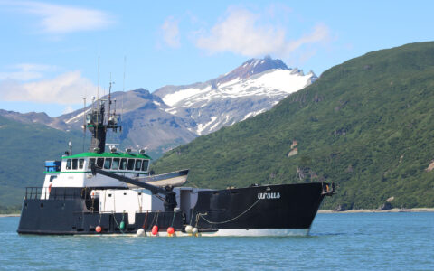 Starboard side of Ursus small ship cruising calm water in Alaska with black hull, white upper decks & fishing boat look.