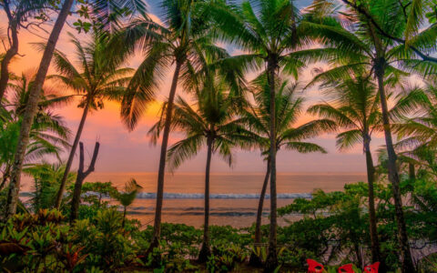 Beach in sunset of pink & orange with palm trees, green shrubs & white sand & calm waves, seen on a Costa Rica luxury cruise,