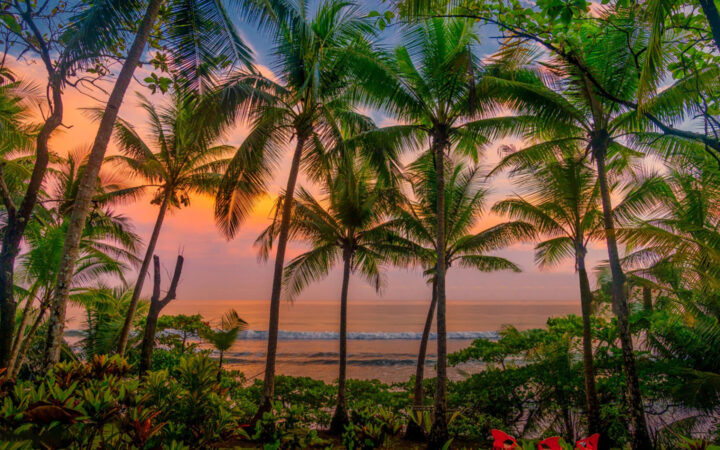 Beach in sunset of pink & orange with palm trees, green shrubs & white sand & calm waves, seen on a Costa Rica luxury cruise,