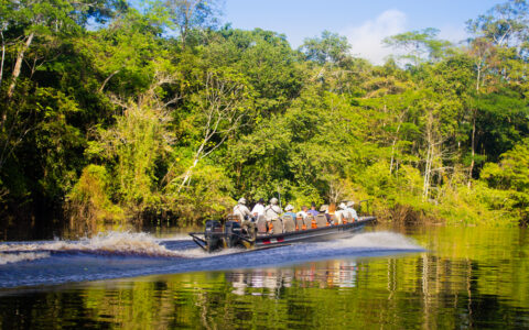 A skiff tour moves along the jungle sights in the Amazon jungle while with the Delfin I Amazon River Cruise in Peru