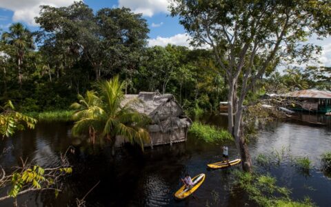Aerial view of Amazon travelers on yellow stand-up paddleboards among palm trees & thatch houses built over the water.