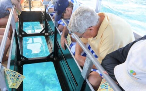 travelers lean over a railing looking through the window of a glass bottom boat during the great barrier reef australia cruise