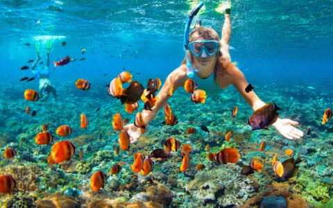 Female snorkeler swims underwater to see a school of orange fish on the Kontiki Pura Vida Expedition Cruise in Costa Rica.