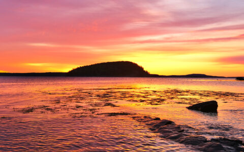 Maine Coastal Explorer photo 4