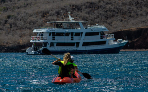 Tandem kayakers in red boat paddle calm blue sea toward a blue & white ship on a Monserrat Galapagos cruise.