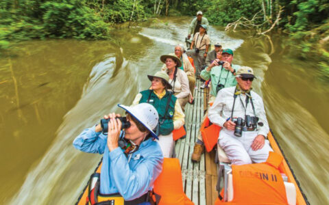 Take a skiff tour and bring your binoculars to scope out the animals while with the National Geographic Upper Amazon River Cruise