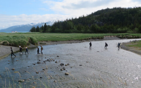 Family yacht charter guests cross a shallow river in Prince William Sound, Alaska.