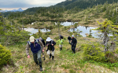 Family yacht charter guests hike through alpine terrain in Prince William Sound.