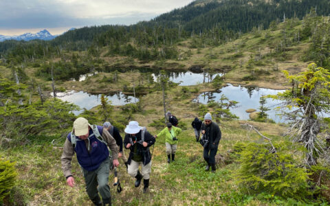 A group of adventuriists hike through the Alaskan forest ressed from head to toe in hiking gear in front of bodys of water
