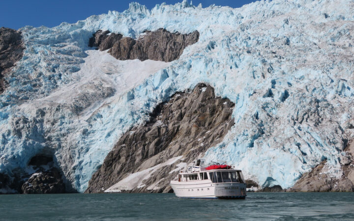 Small white wooden yacht idles in calm waters in front of a large blue & white glacier on a Kenai Fjords National Park cruise.