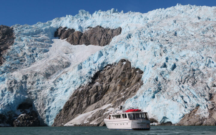 Small white wooden yacht idles in calm waters in front of a large blue & white glacier on a Kenai Fjords National Park cruise.