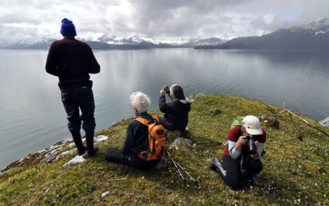 alsaka adventure travelers sit on a grassy cliff taking pictures with calm water below them and clouds in the distance