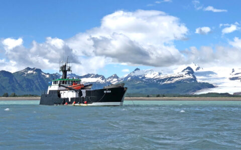 Starboard side of Ursus small ship cruising calm water in Alaska with black hull, white upper decks & fishing boat look.