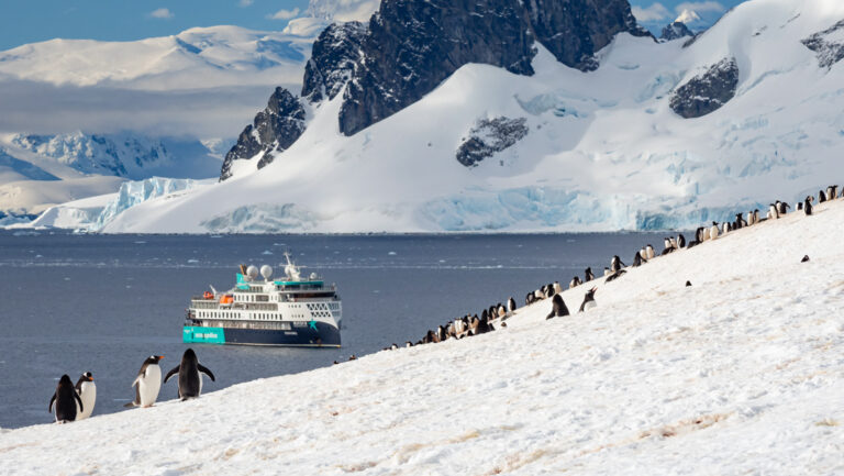 Black & white penguins walk up a steep, snowy hillside in the sun as a small white, blue & teal ship sits nearby in Antarctica.