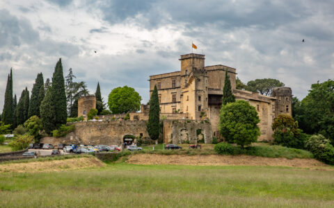 Tan brick castle with red & gold flag stands among grass fields & large shrub & deciduous trees on a cloudy day in France.