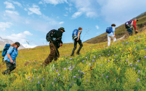Single-file hikers walk up grassy hillside under blue sky during a cruise to the Faroe Islands & Iceland.