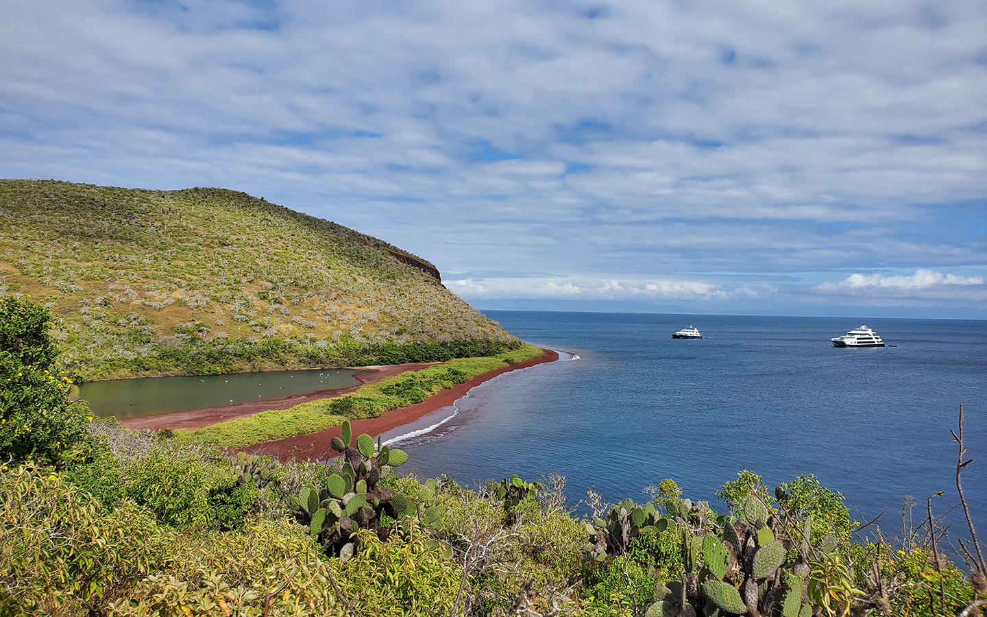 New 2025 Galapagos cruise ship Hermes seen at anchor near Rabida island with red sand and bright green bushes on shore