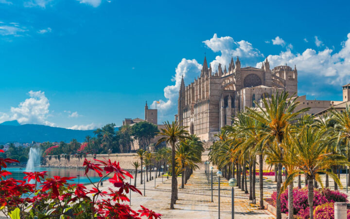 Beautiful walkway leading you to a cathedral with pink and red flowers and palm trees overlooking a large fountain