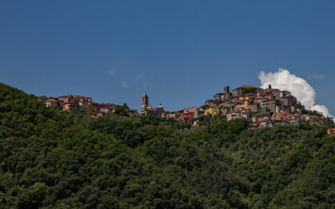 Hilltop town in Cinque Terre, Italy with terraced homes of varying bright colors, church with steeple & dense green forest below.