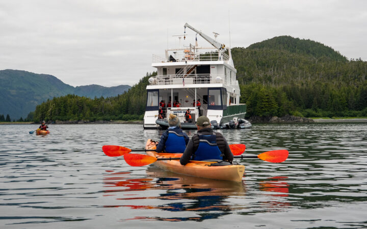 Two travelers in an orange double kayak float towards the Safari Quest ship anchored near a densely green forested Alaska shoreline