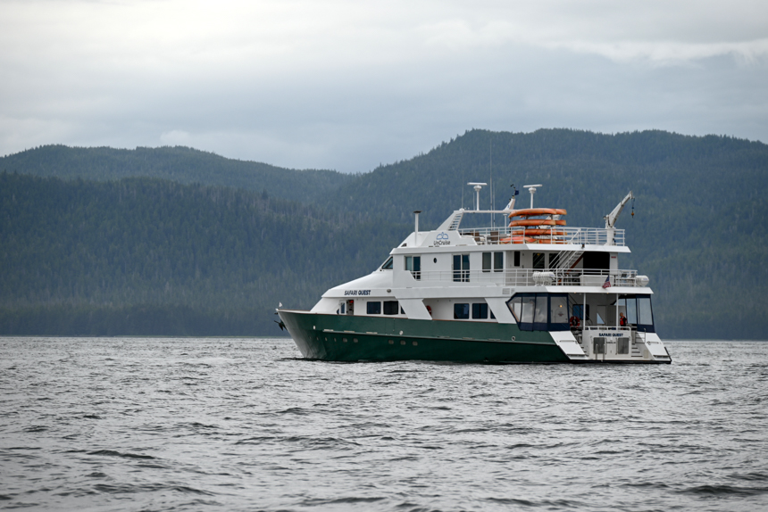 22 guest Safari Quest, white decks and green hull cruises Alaska's inside passage with green forested hillside around it,