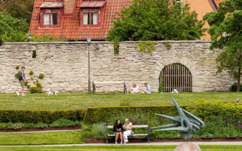 Two women sitting on a park bench enjoying a nice day in front of a stone wall and green bushes