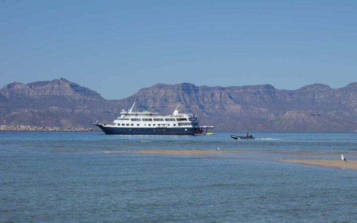 A small ship cruise seen from the shore with water in the foreground and big Baja mountains behind it
