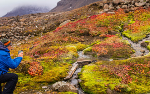Traveler bends down to capture colorful and small waterfall and waterway in greenland.