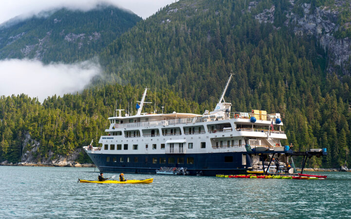 White and navy blue Safari Endeavour small ship floats close to a densely forested shoreline in Alaska kayakers paddle around