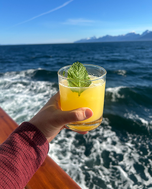 From a ships deck, an arm and hand extend out holding a colorful yellow cocktail with water and forested alaska landscape behind.