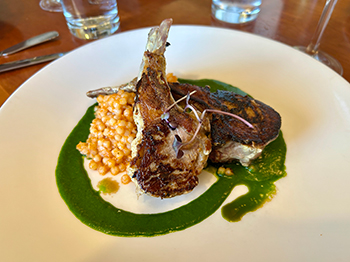 Lamb shank over couscous and green sauce on a white plate aboard an UnCruise alaska cruise