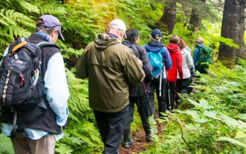 small ship cruise guests on a land excursion in the forest in Alaska's Glacier bay national forest