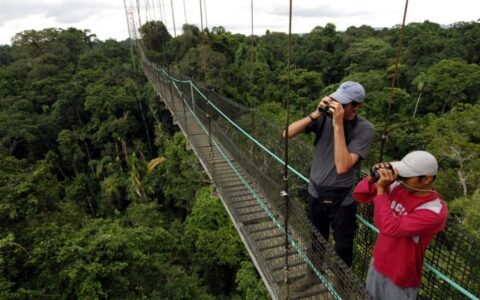 adventure travelers standing on the sky bridge above the jungle canopy taking pictures at sacha amazon eco lodge