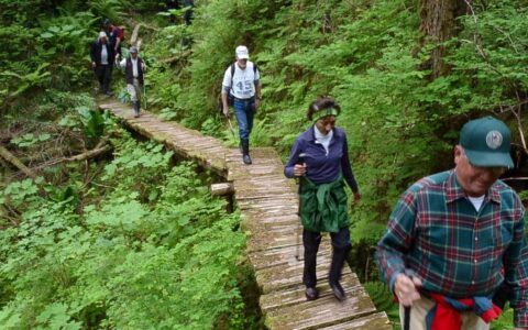 travelers walking on a wooden boardwalk in the forest in glacier bay alaska