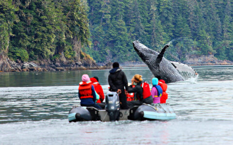 Glacier Bay Adventure Cruise with 2 Days in Glacier Bay photo 3